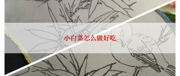 小白菜怎么做好吃
