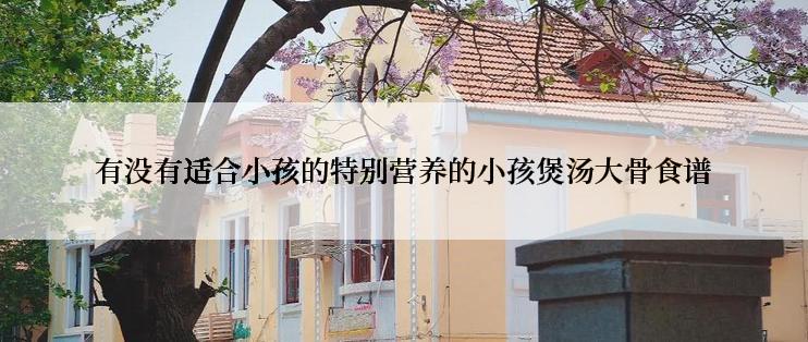 有没有适合小孩的特别营养的小孩煲汤大骨食谱