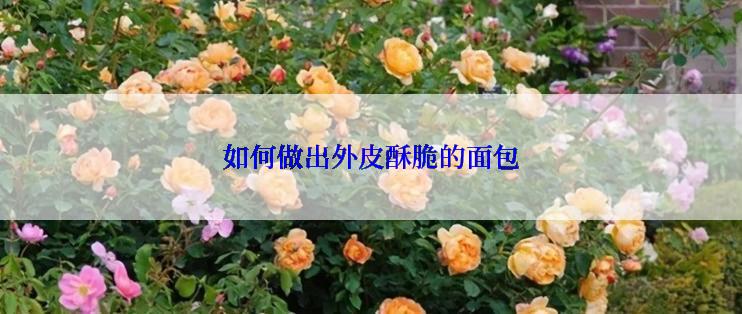 如何做出外皮酥脆的面包