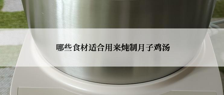  哪些食材适合用来炖制月子鸡汤