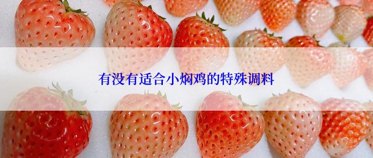 有没有适合小焖鸡的特殊调料