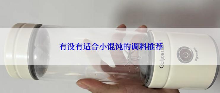  有没有适合小馄饨的调料推荐