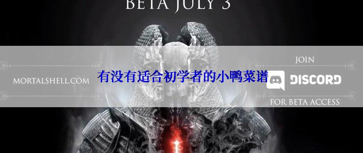  有没有适合初学者的小鸭菜谱