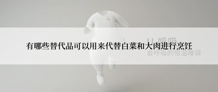 有哪些替代品可以用来代替白菜和大肉进行烹饪