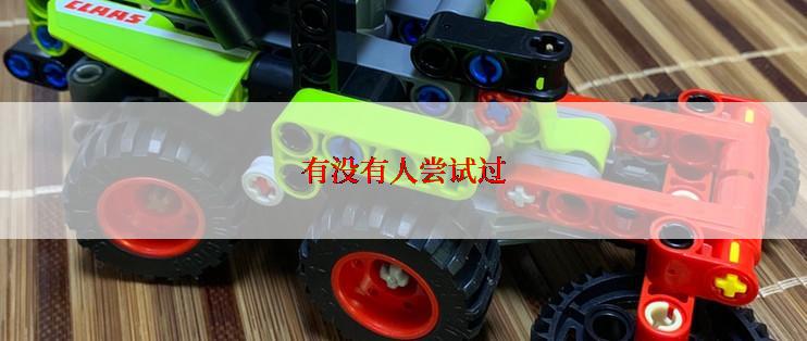 有没有人尝试过