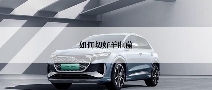 如何切好羊肚菌