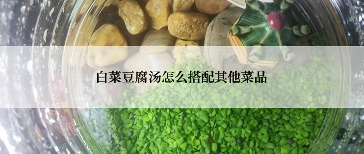 白菜豆腐汤怎么搭配其他菜品