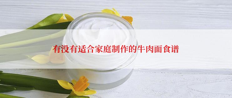 有没有适合家庭制作的牛肉面食谱
