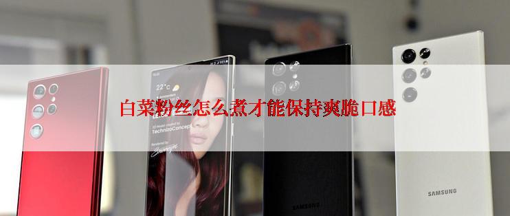  白菜粉丝怎么煮才能保持爽脆口感