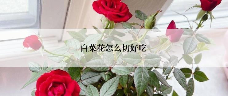 白菜花怎么切好吃