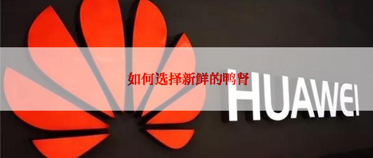  如何选择新鲜的鸭肾