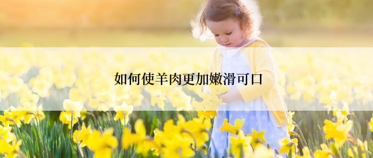  如何使羊肉更加嫩滑可口