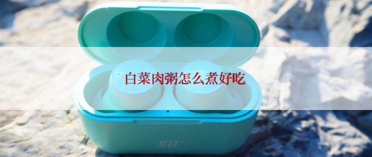 白菜肉粥怎么煮好吃