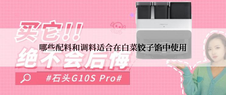 哪些配料和调料适合在白菜饺子馅中使用