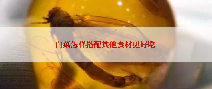 白菜怎样搭配其他食材更好吃