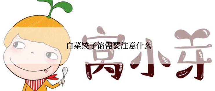  白菜饺子馅需要注意什么