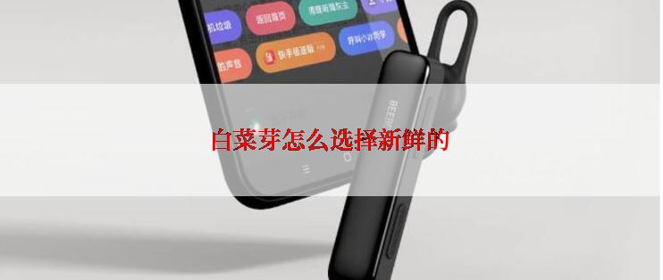 白菜芽怎么选择新鲜的