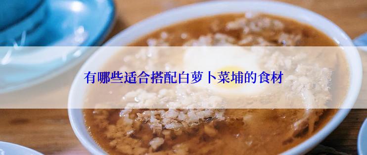 有哪些适合搭配白萝卜菜埔的食材