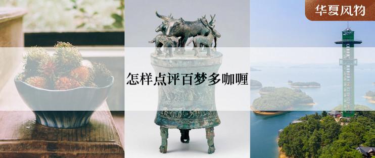 怎样点评百梦多咖喱