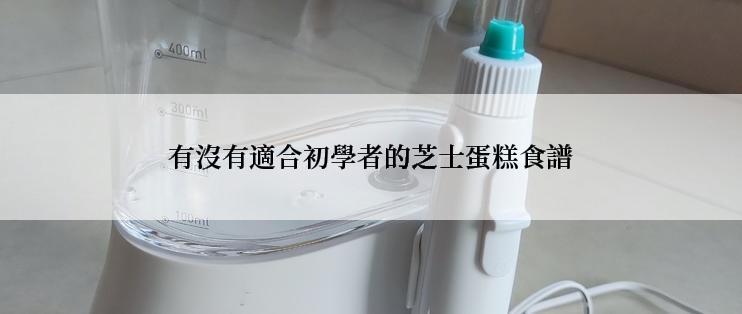 有沒有適合初學者的芝士蛋糕食譜