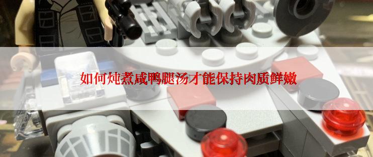  如何炖煮咸鸭腿汤才能保持肉质鲜嫩