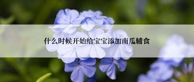 什么时候开始给宝宝添加南瓜辅食