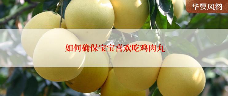  如何确保宝宝喜欢吃鸡肉丸