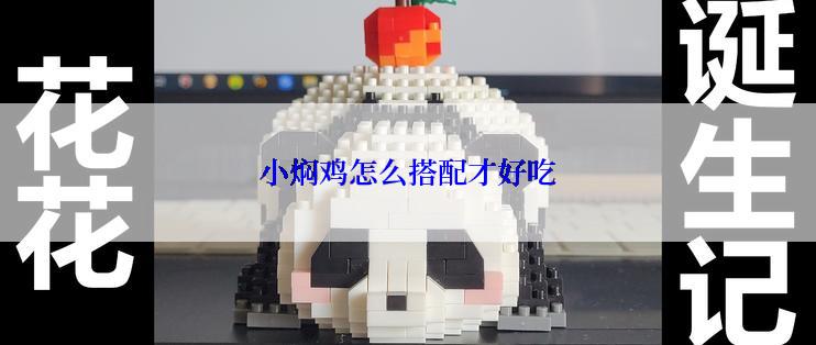 小焖鸡怎么搭配才好吃