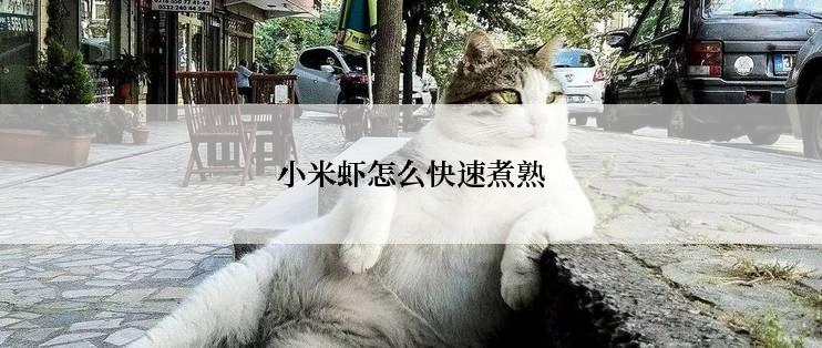 小米虾怎么快速煮熟