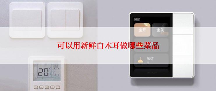 可以用新鲜白木耳做哪些菜品
