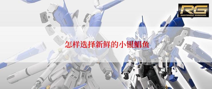  怎样选择新鲜的小银鲳鱼
