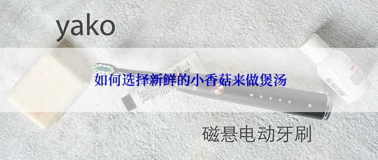  如何选择新鲜的小香菇来做煲汤