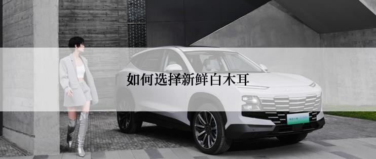 如何选择新鲜白木耳