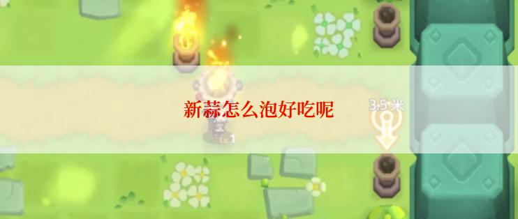 新蒜怎么泡好吃呢