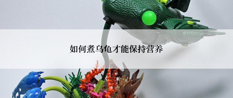 如何煮乌龟才能保持营养