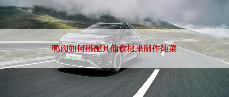 鸭肉如何搭配其他食材来制作炖菜