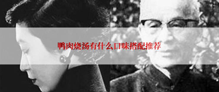 鸭肉烧汤有什么口味搭配推荐