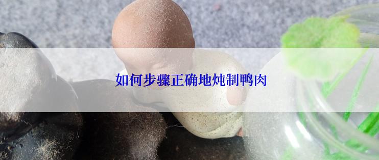  如何步骤正确地炖制鸭肉