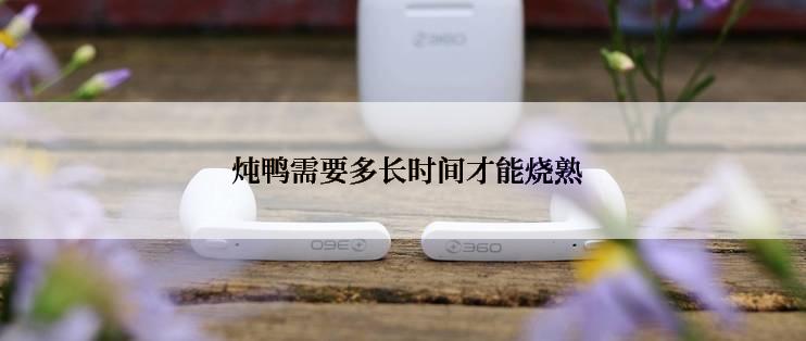  炖鸭需要多长时间才能烧熟