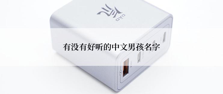 有没有好听的中文男孩名字