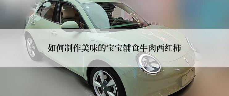 如何制作美味的宝宝辅食牛肉西红柿