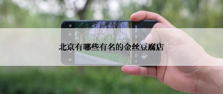北京有哪些有名的金丝豆腐店