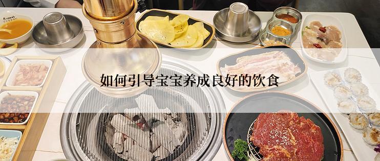 如何引导宝宝养成良好的饮食
