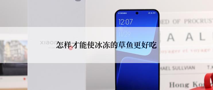 怎样才能使冰冻的草鱼更好吃