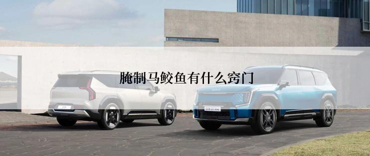  腌制马鲛鱼有什么窍门