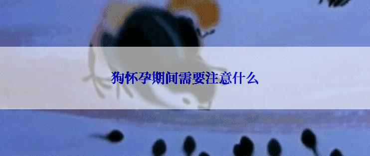 狗怀孕期间需要注意什么