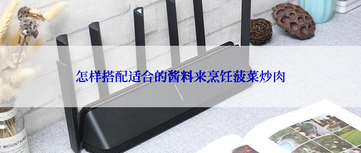 怎样搭配适合的酱料来烹饪菠菜炒肉