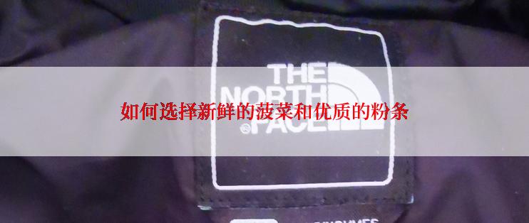 如何选择新鲜的菠菜和优质的粉条