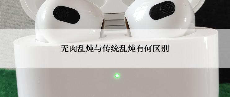 无肉乱炖与传统乱炖有何区别