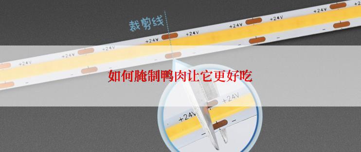 如何腌制鸭肉让它更好吃